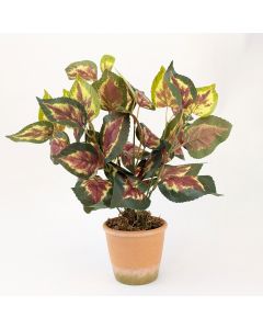 Artificial Coleus Orb Coloured Leaf Plant in Pot