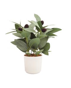 Artificial Olive Plant in Pot