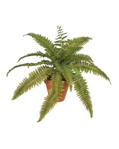 Artificial Fern in  Terracotta Pot